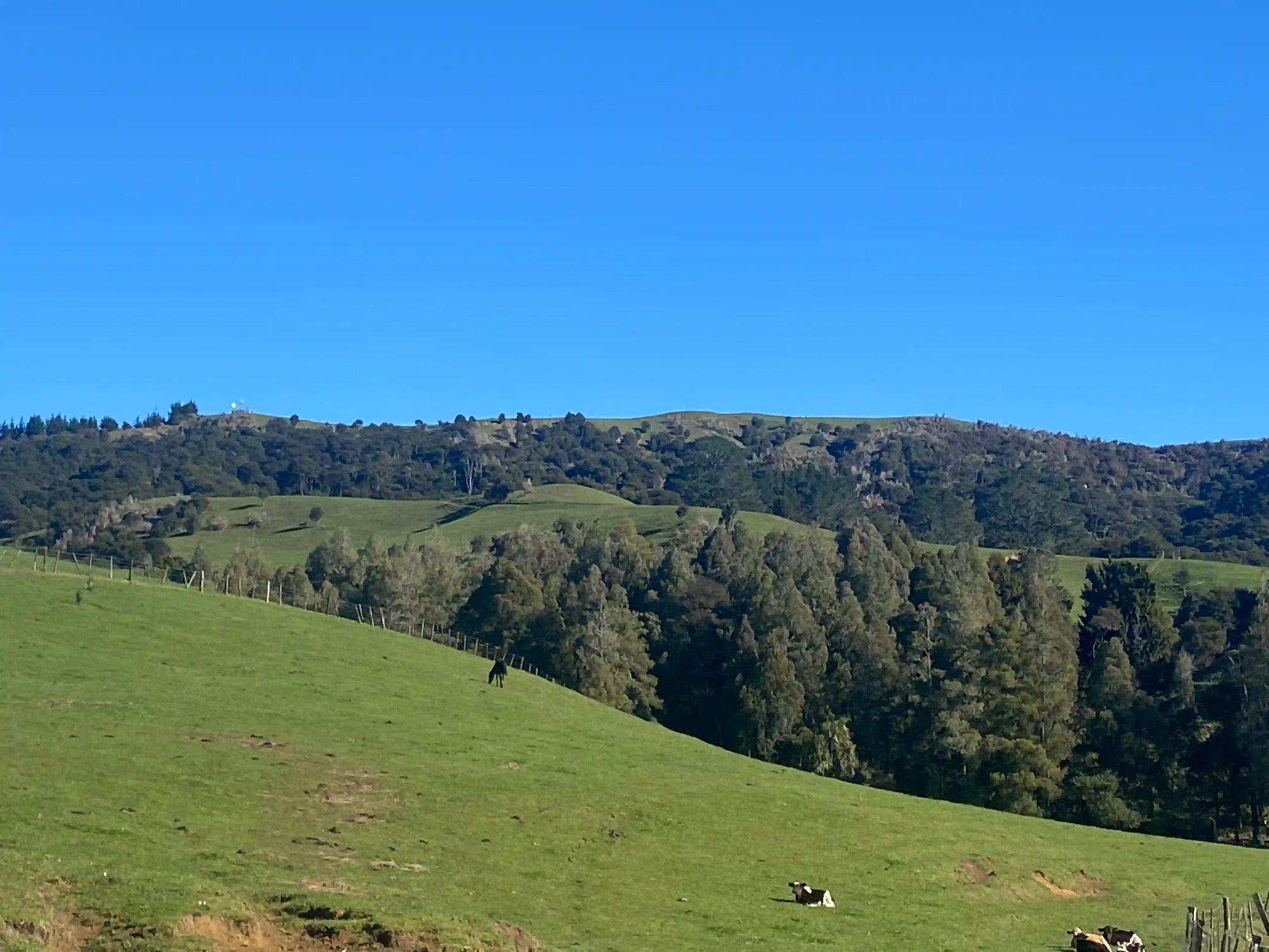 The Karamu hills in the Waikato